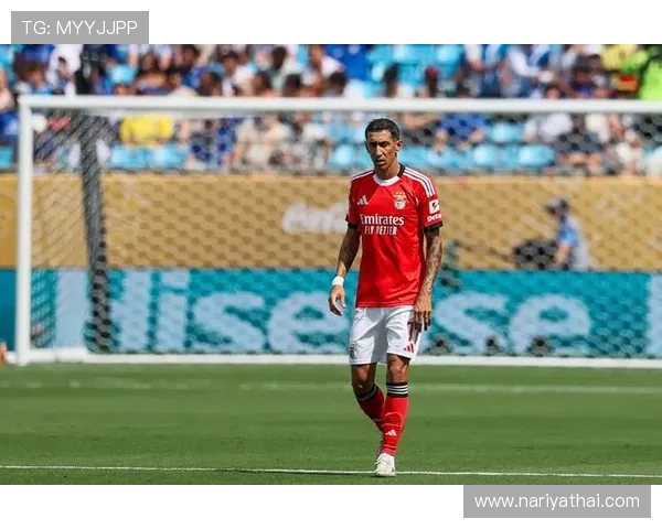 迪马利亚加盟本菲卡完成欧洲成名阶段解析 迪马利亚加盟本菲卡完成欧洲成名阶段解析