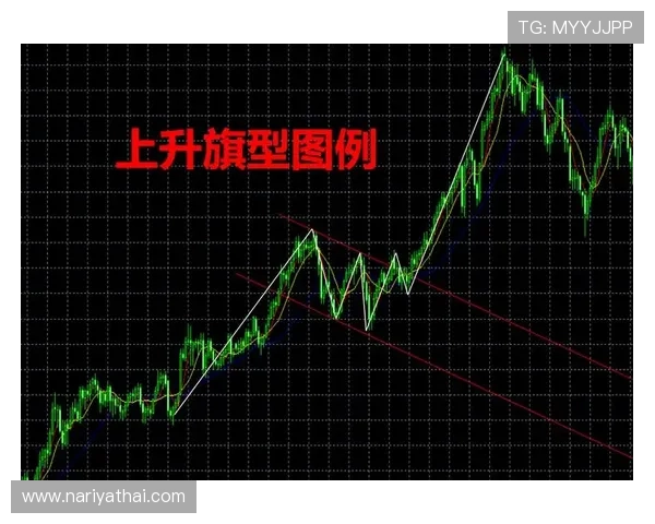 深入解析篮球中线规则的核心要点及判定